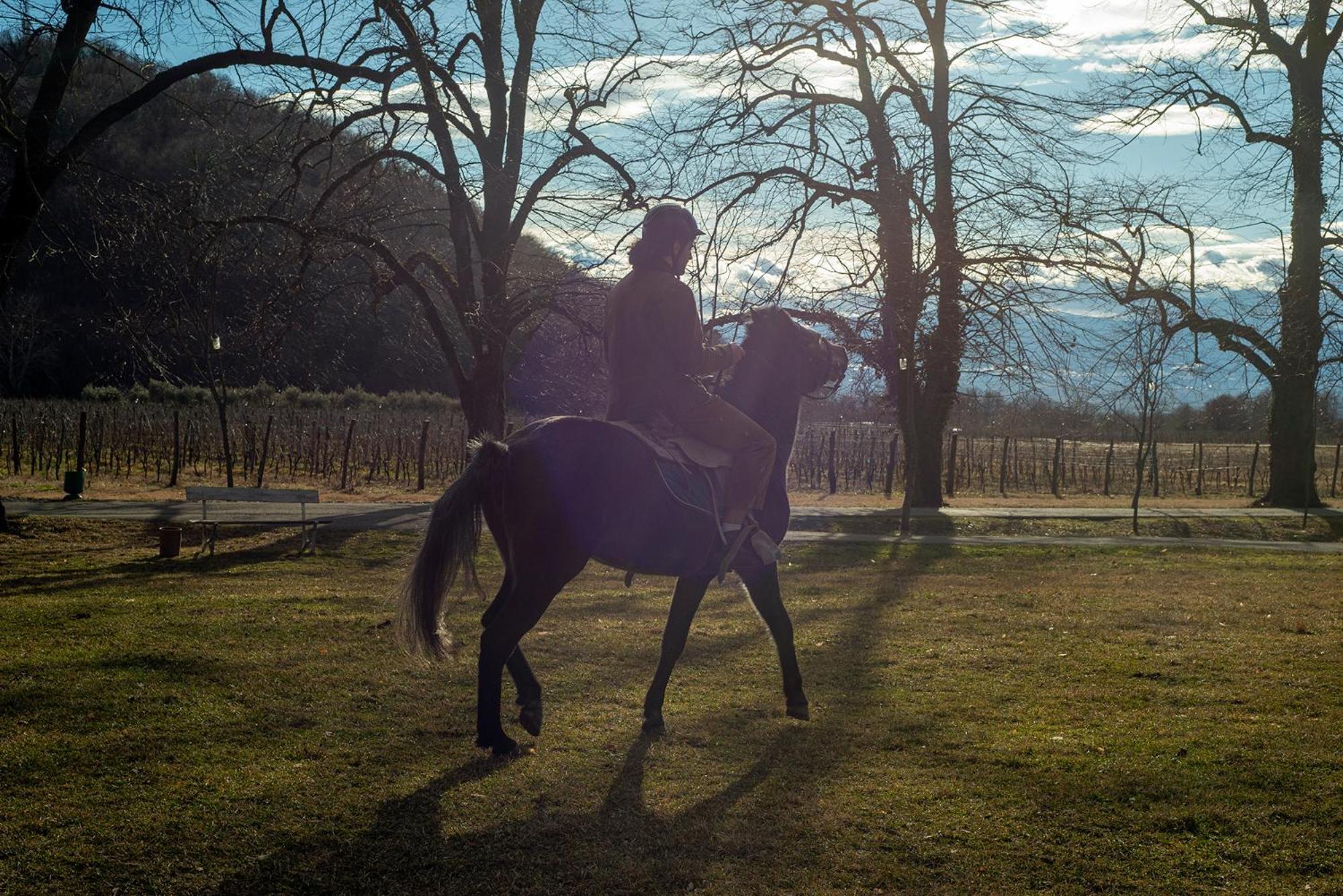 Lopota Lake Resort & Spa Napareuli Extérieur photo A horse and rider